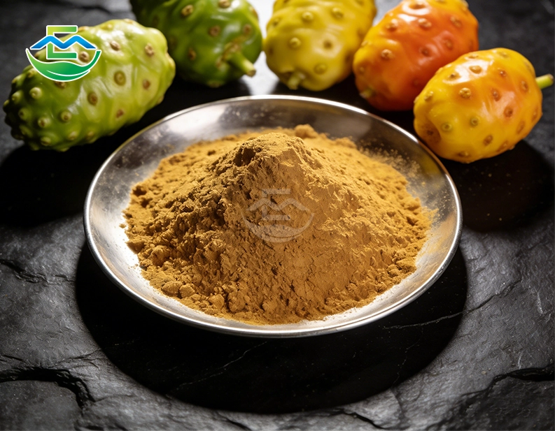 Noni Fruit Extract Powder Bulk B2B